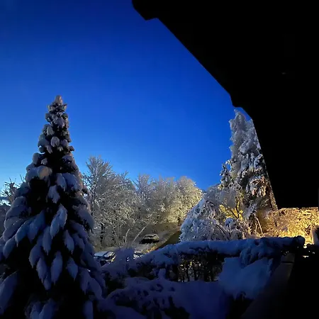 Traumhaft Ruhige Lage Eva Lamprecht 公寓 因斯布鲁克