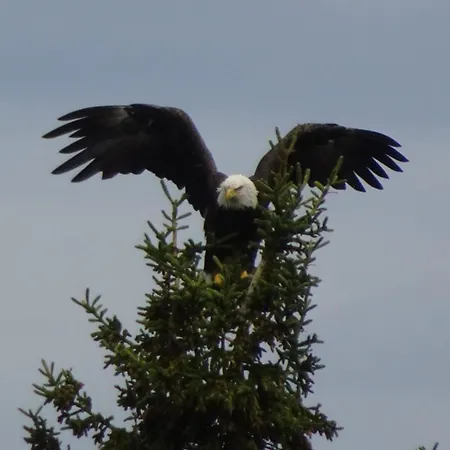 Traumhaft Ruhige Lage Eva Lamprecht Innsbruck