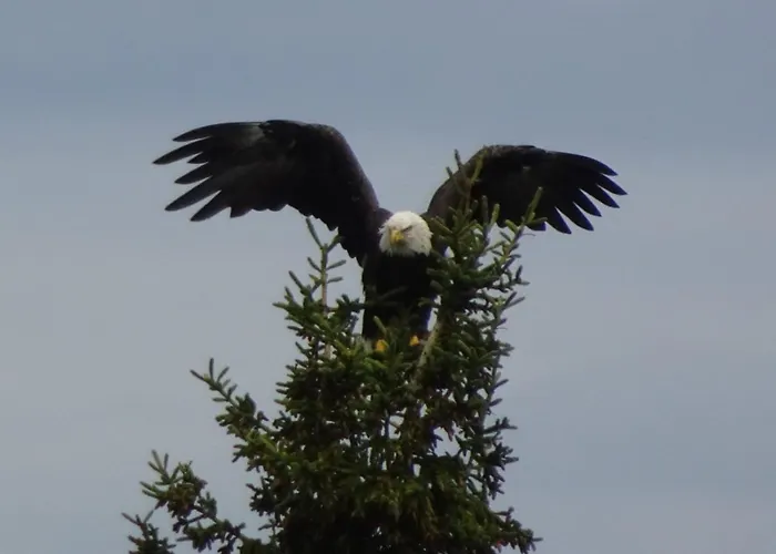 Traumhaft Ruhige Lage Eva Lamprecht Innsbruck